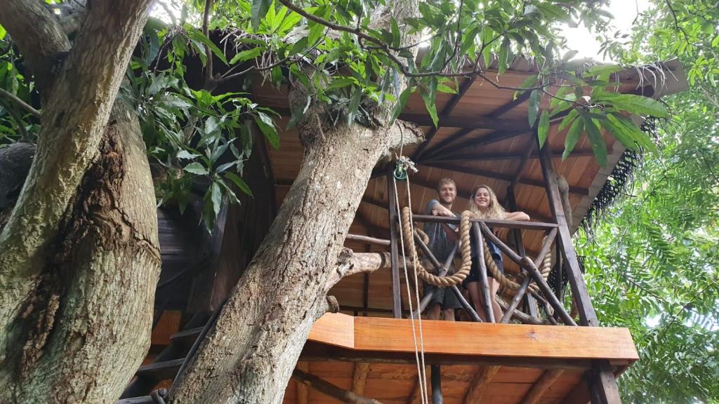 Green park tree House