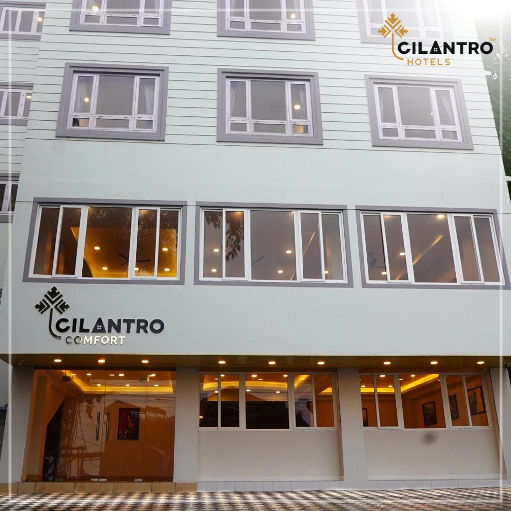 Cilantro Comfort