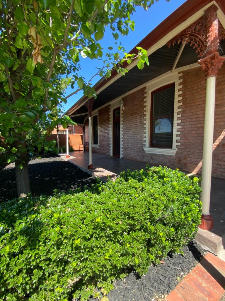 Somerby! CBD & Pet friendly!