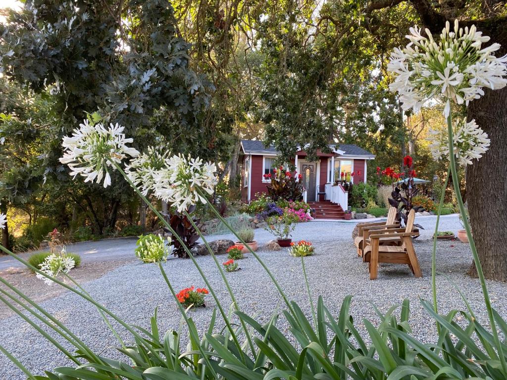 Amitabha Wine Country Cottage (Santa Rosa)