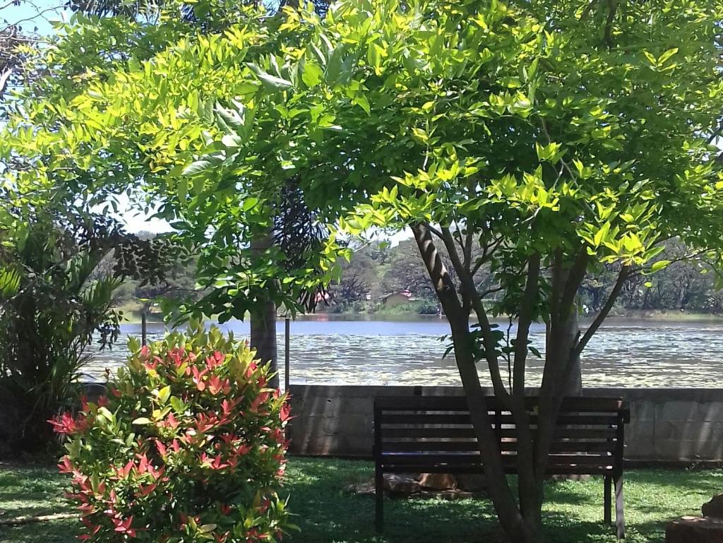 Shashin Lake Resort