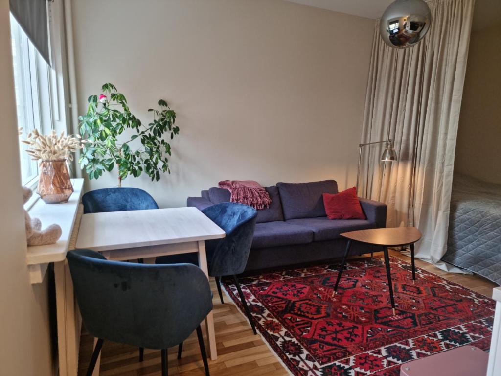 Majorstuen studio apartment