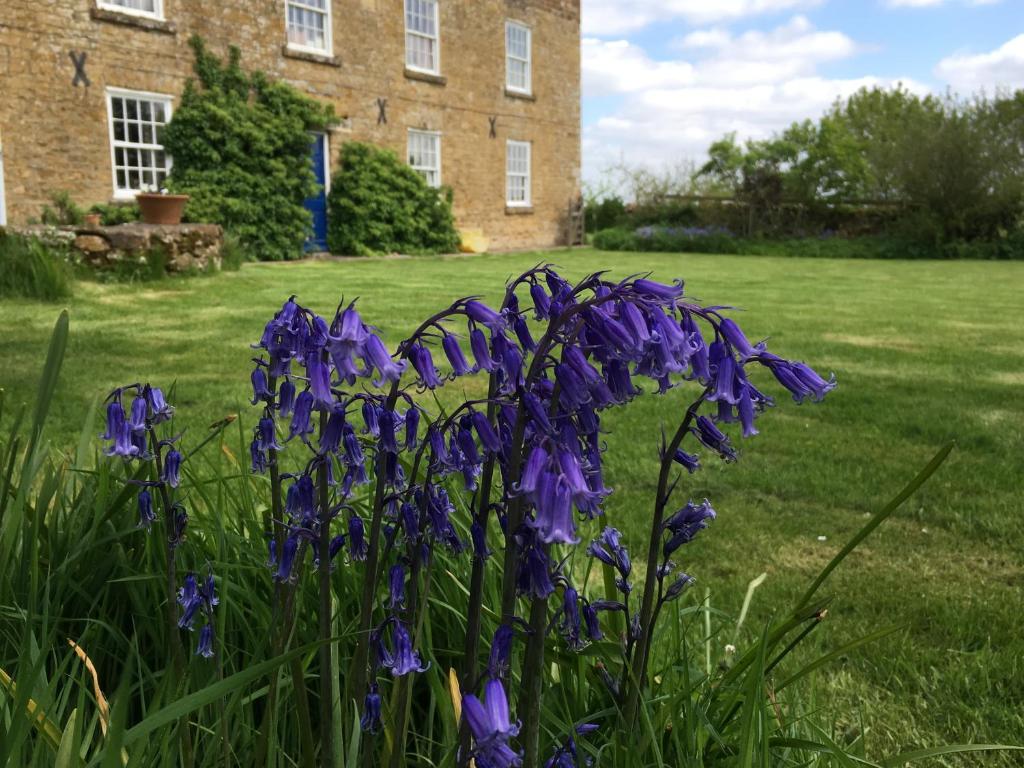 Cotswolds Mine Hill House (Lower Brailes)