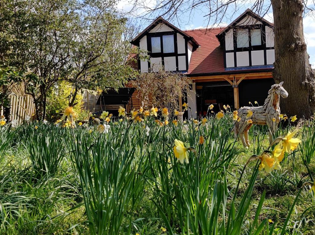 Delightful & Picturesque Modern Detached Apartment