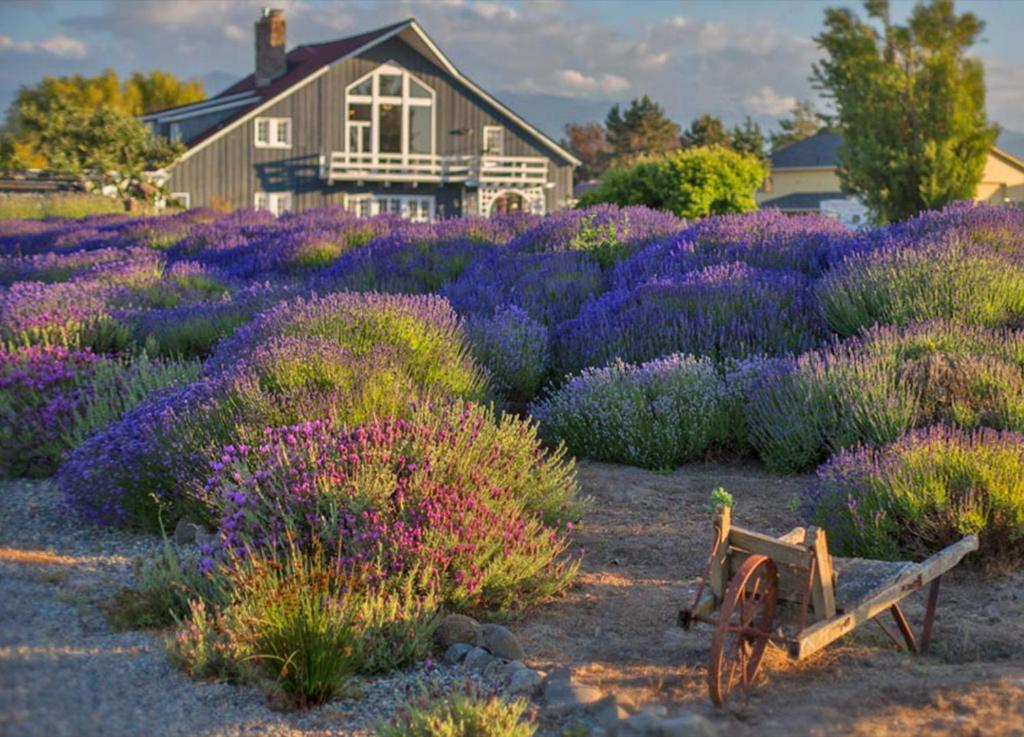 Dungeness Barn House at Two Crows Farm (Sequim)