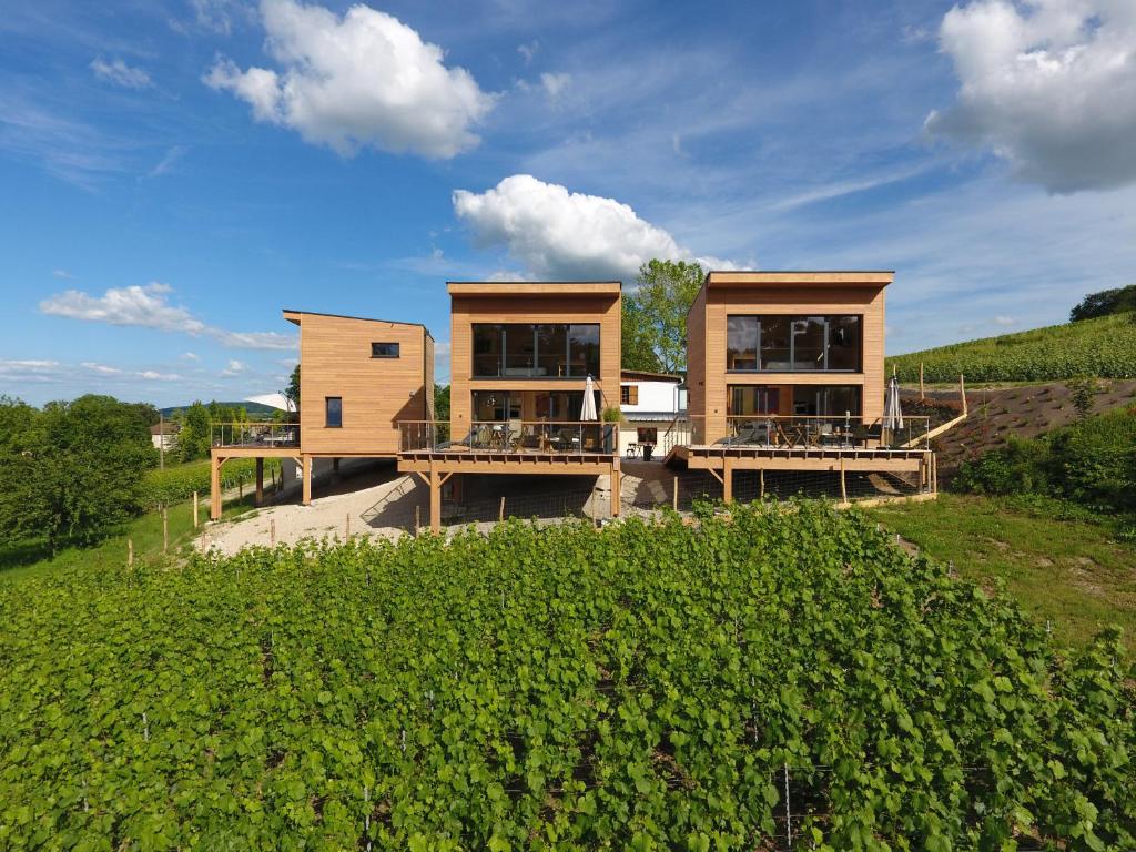 COTTAGES ANTOINETTE (Chigny-les-Roses)