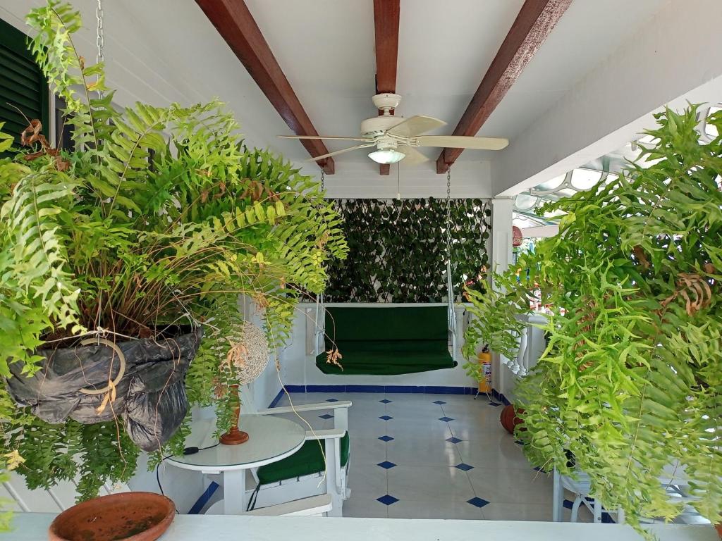 Hostal Paraíso Minca