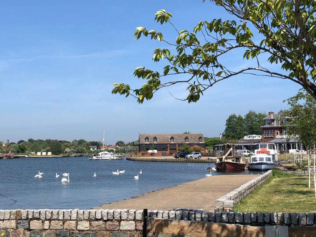 Swan View (Lowestoft)