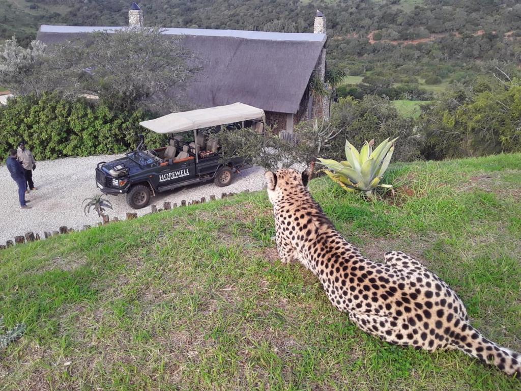 Hopewell Private Game Reserve (Buyskloof)