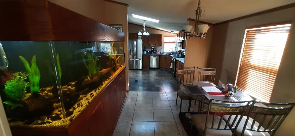 Private Pet Friendly Home Near Exotic Deer Farm Close to Pigeon Forge (Sevierville)
