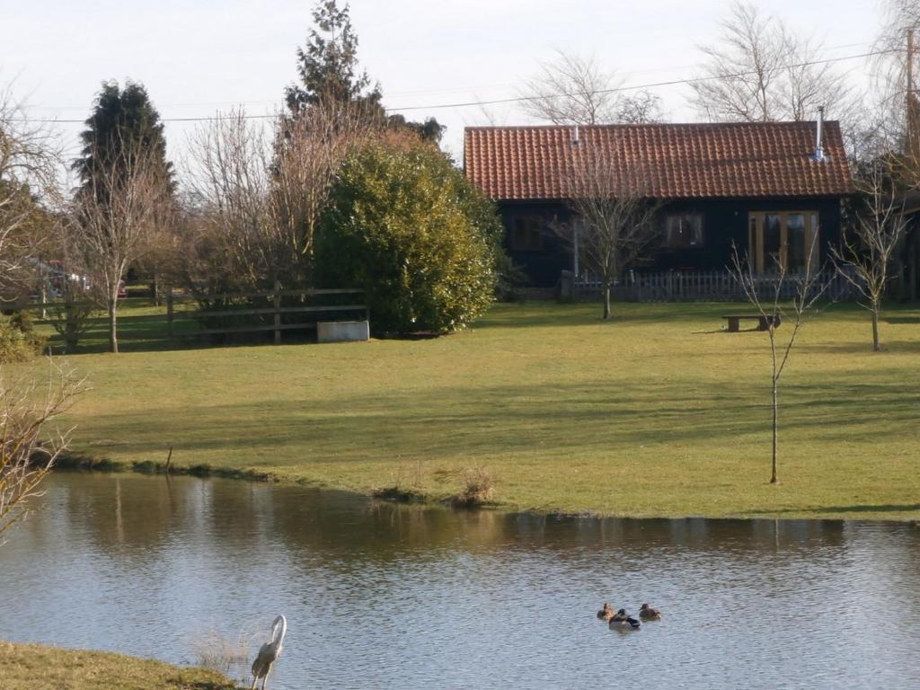 Lake View (Mellis)