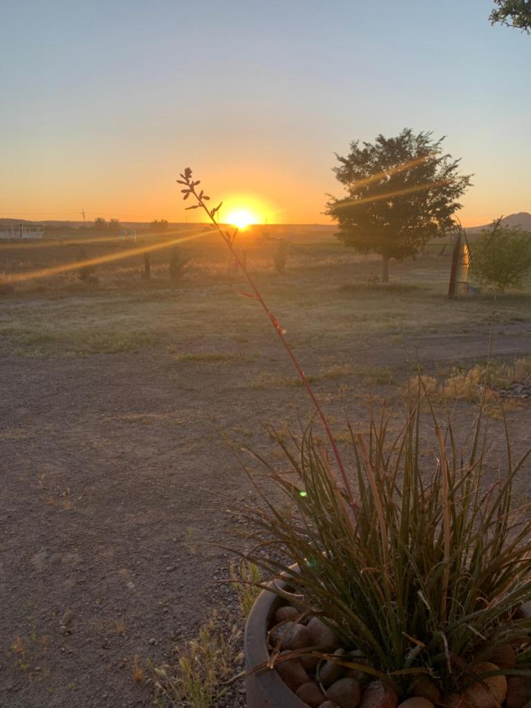 Comfortable Southwest Home (Las Cruces)