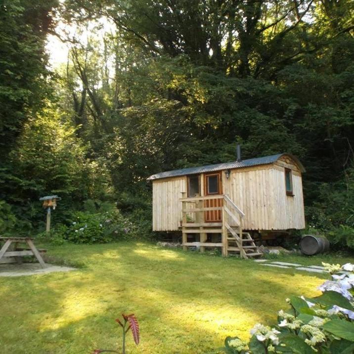'Morris' the shepherd's hut with woodland hot tub (Carmarthen)
