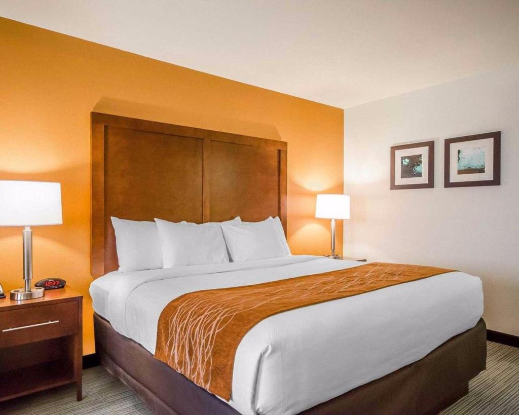 Comfort Inn (Ferdinand)
