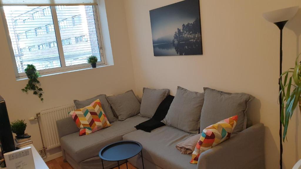 Cozy 1 bedroom apartment in Oslo centrum