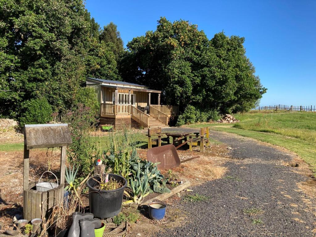 The Treehut (Ohauiti)