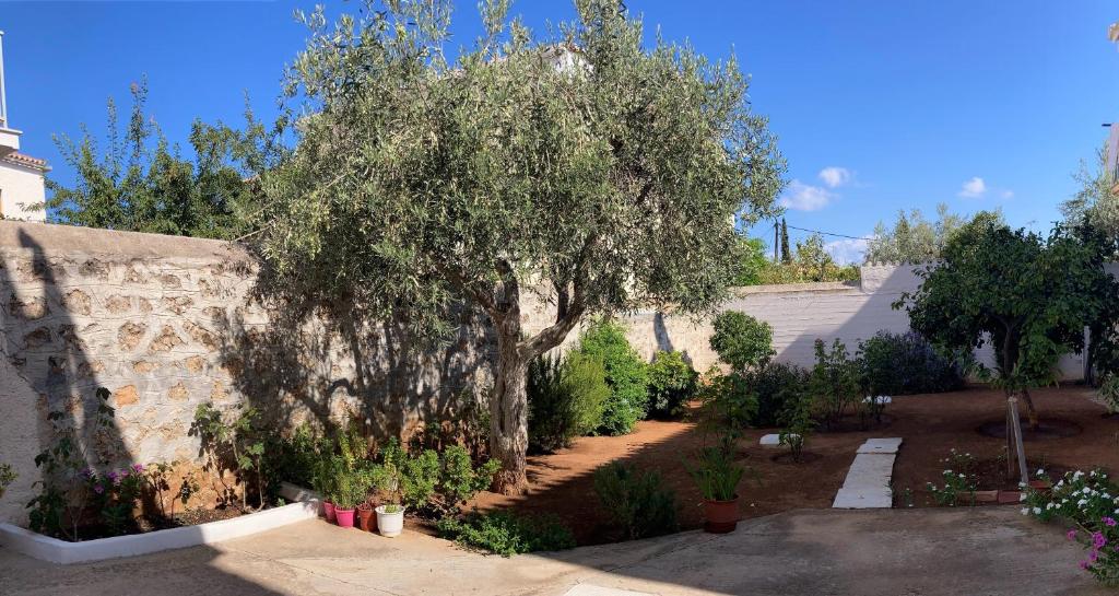 Olga's Place (Spetses)