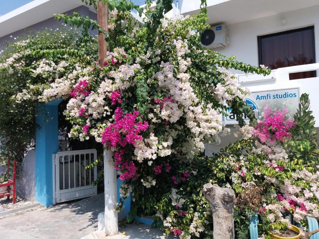 Amfi Apartments (Kardamaina)