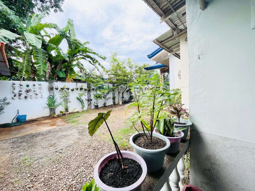 Homey Place with Garden view