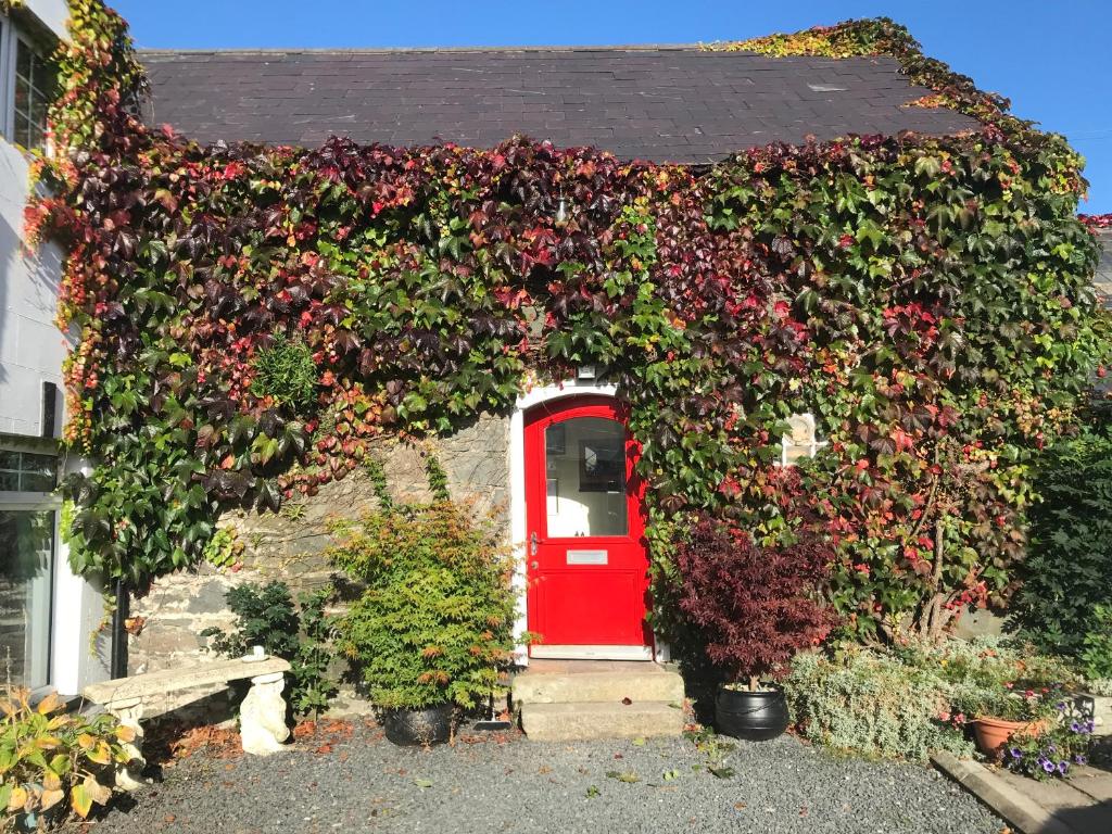 The Byre (Dromore)