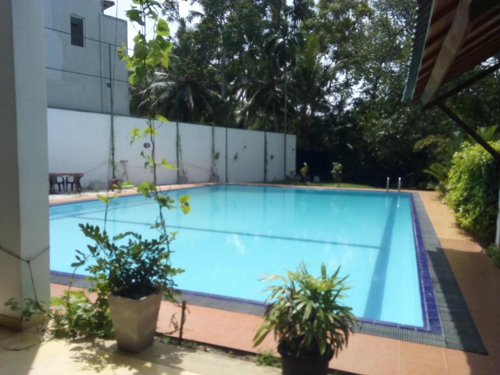 THE Mangrove cave Hotel