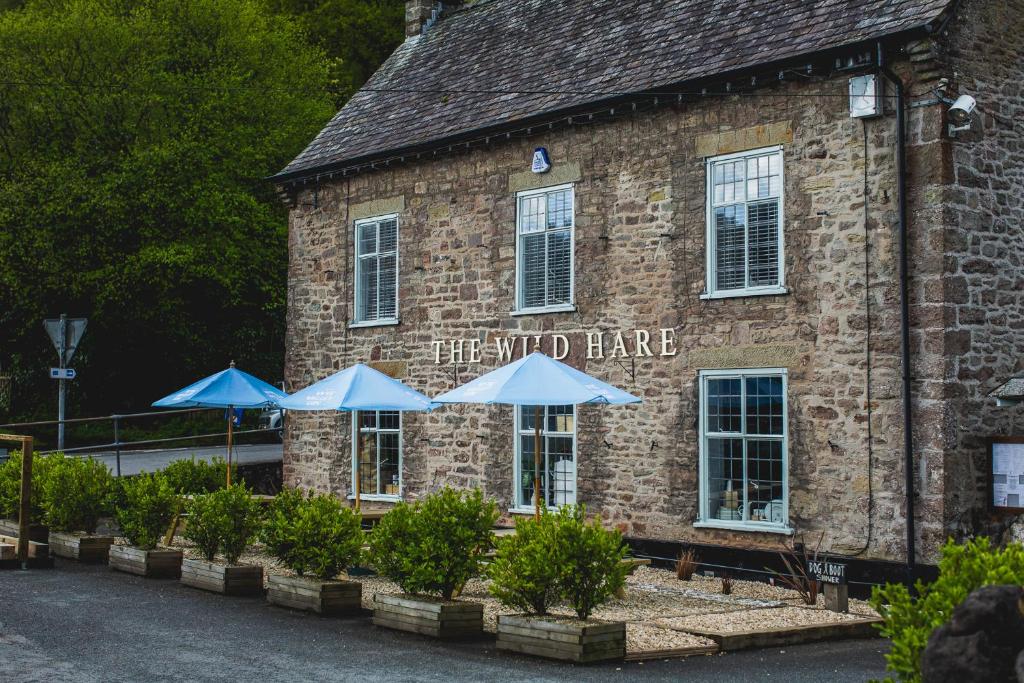 The Wild Hare Tintern (Tintern)