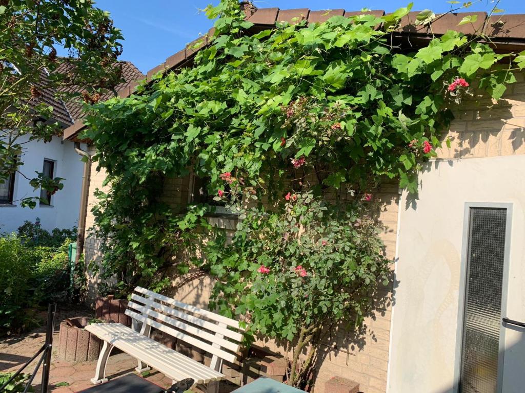 Ferienwohnung Lukas Hameln
