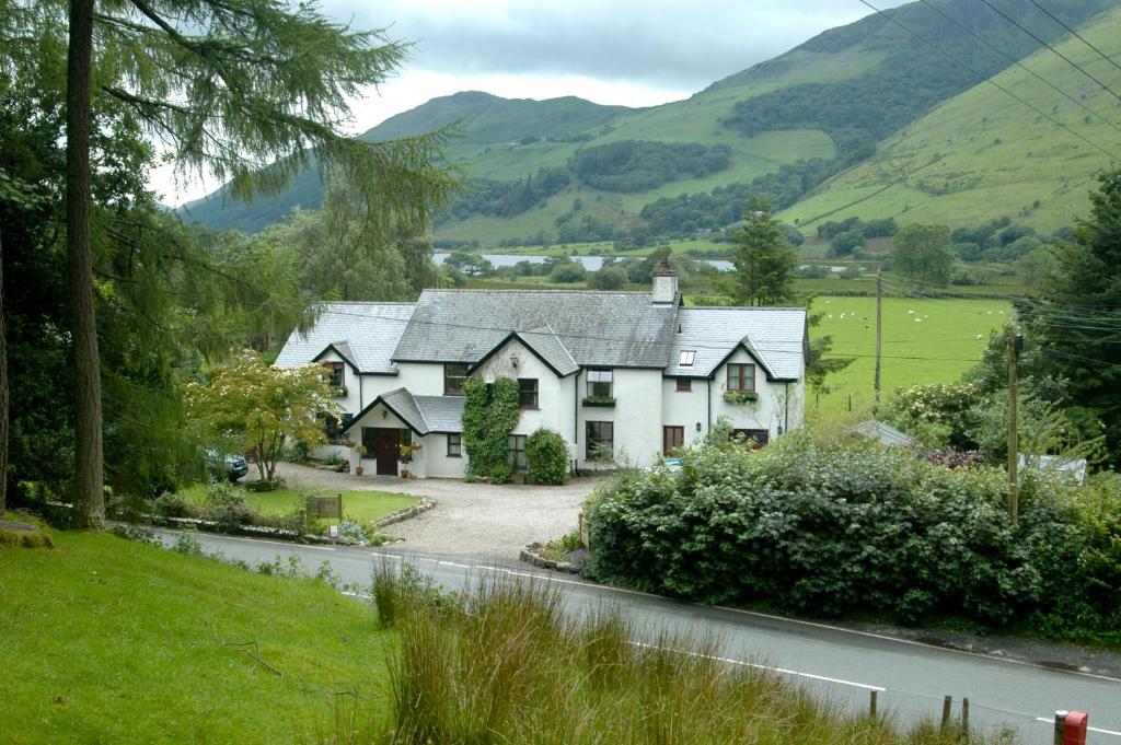 Dolffanog Fawr (Tal-y-llyn)