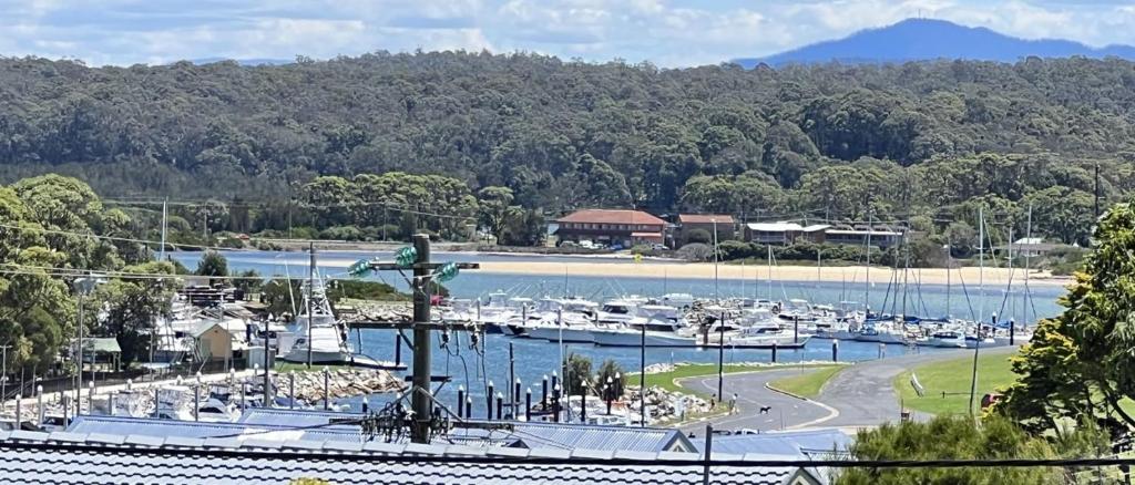 Scarlets by the Sea - In the heart of town (Bermagui)