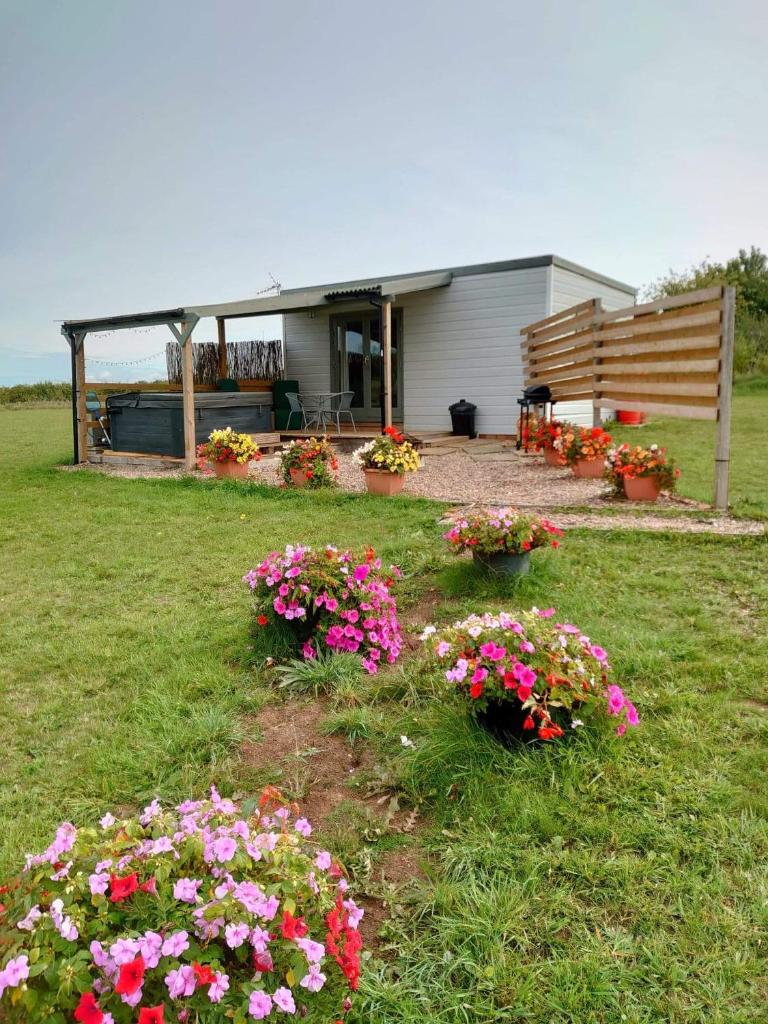 Beautiful Wooden tiny house (Tuxford)
