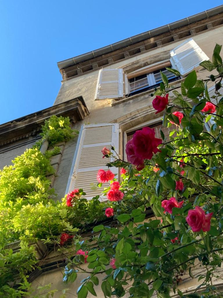 Cocooning Avignon