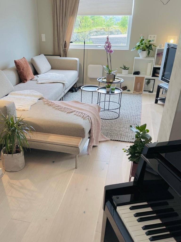Feels like home -free parking -attractive location