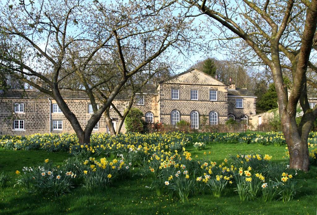 Harewood Estate Cottages (Harewood)