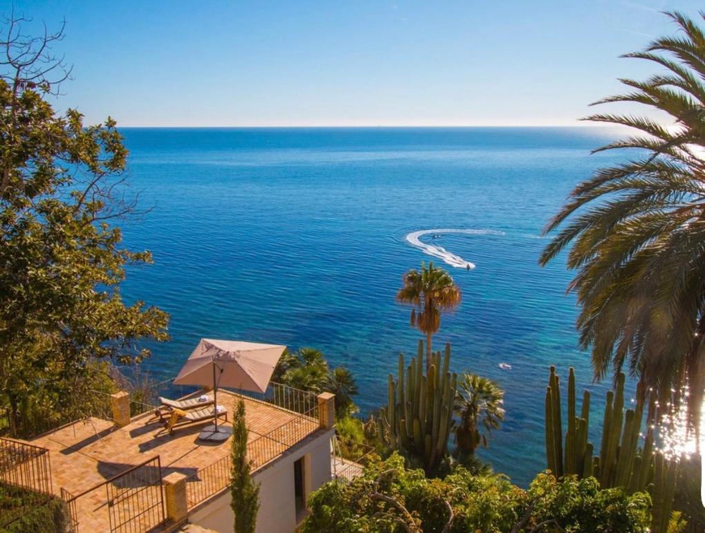 El jardin Botánico Villa LUZ (Altea)