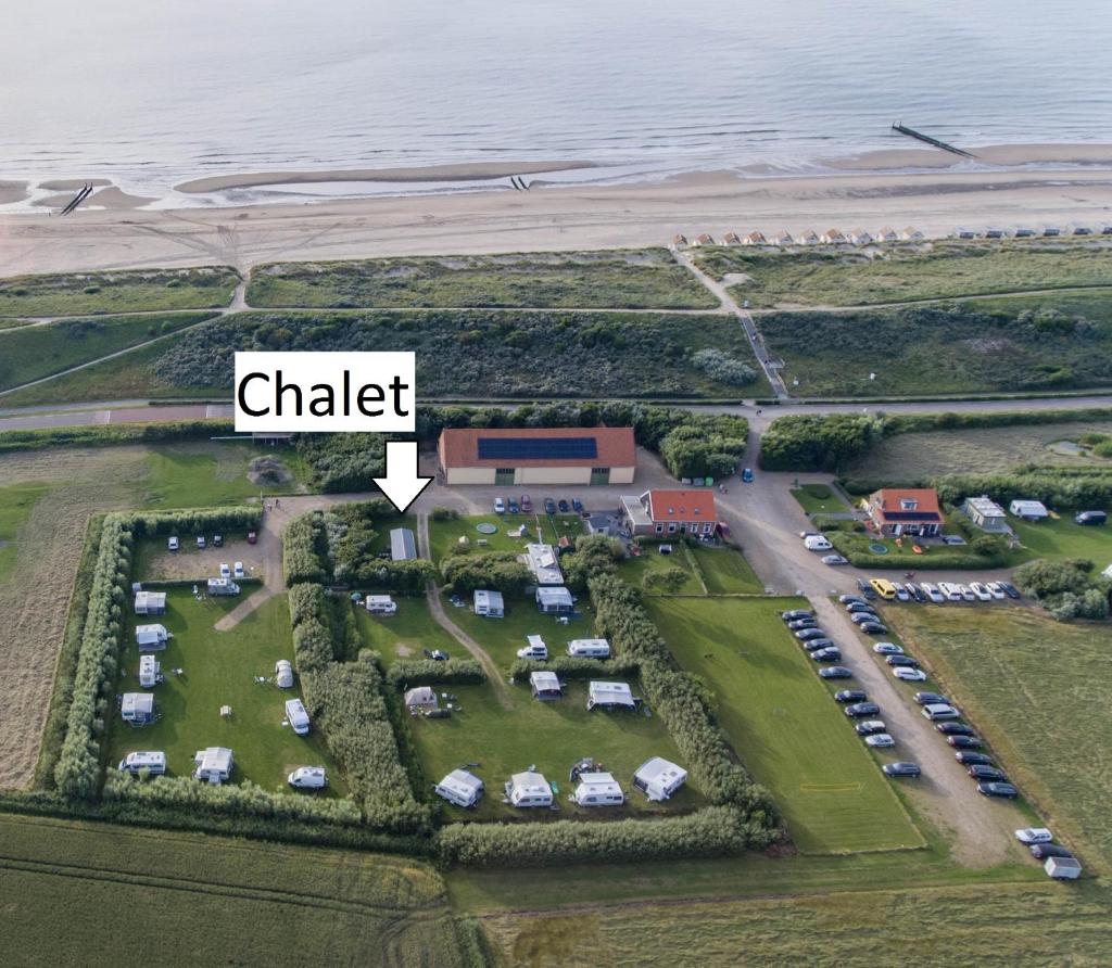 De Schelp