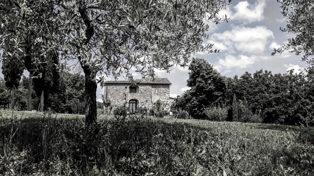 Podere Pievina Delle Corti - Dimora di Campagna (Sinalunga)
