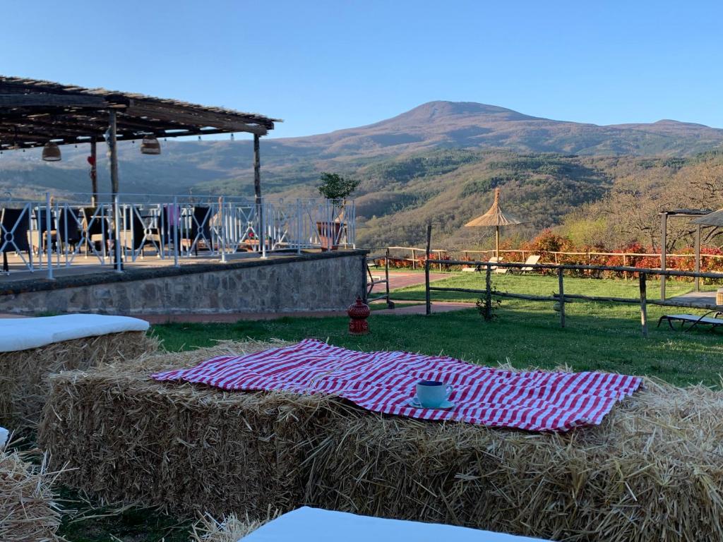 Agriturismo Villa La Palazzetta (Castiglione dʼOrcia)