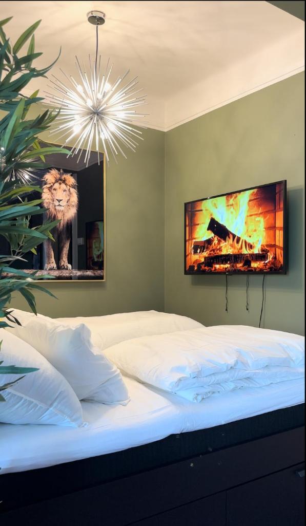 Luxury apartment in Majorstuen - Bogstadveien