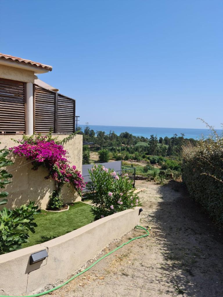 Casa Peppina - Chez Tonio et Sylvie (Sari Solenzara)