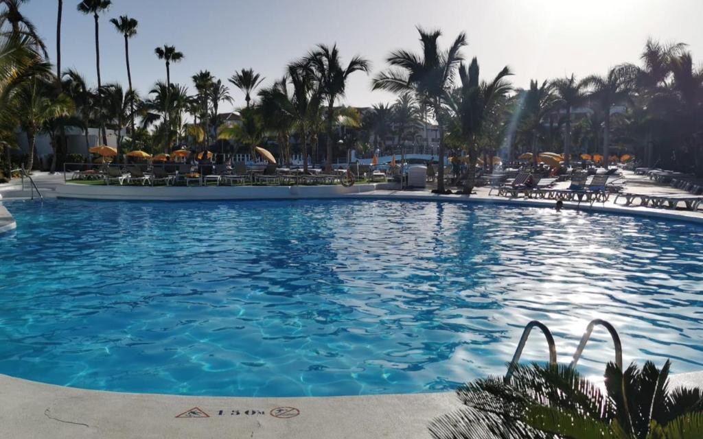 One bedroom appartement at Playa de la Americas 500 m away from the beach with shared pool enclosed garden and wifi
