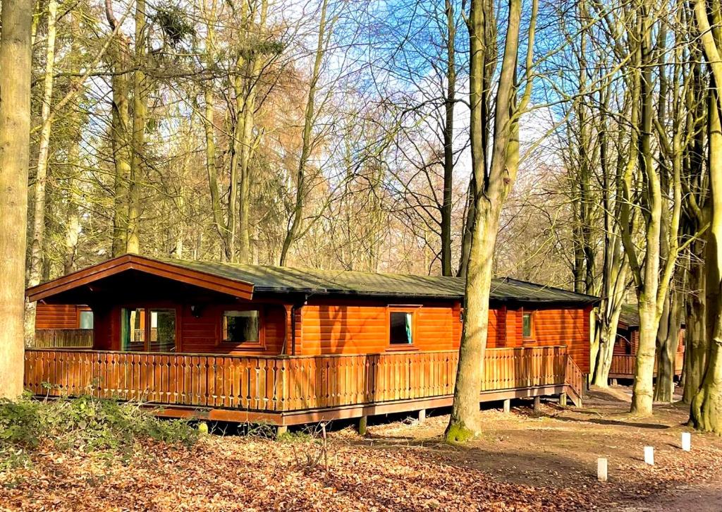 Woodland Retreat