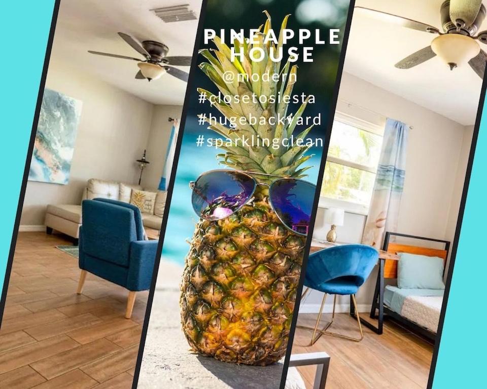 New Pineapple house near Siesta Beach with a huge private backyard