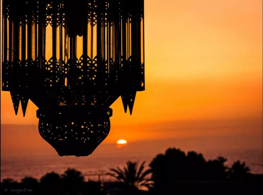Apartment in Playa de las Americas 1