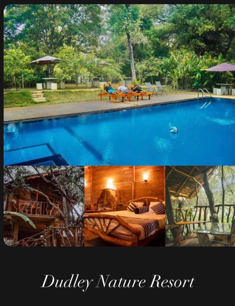 Dudley Nature Resort