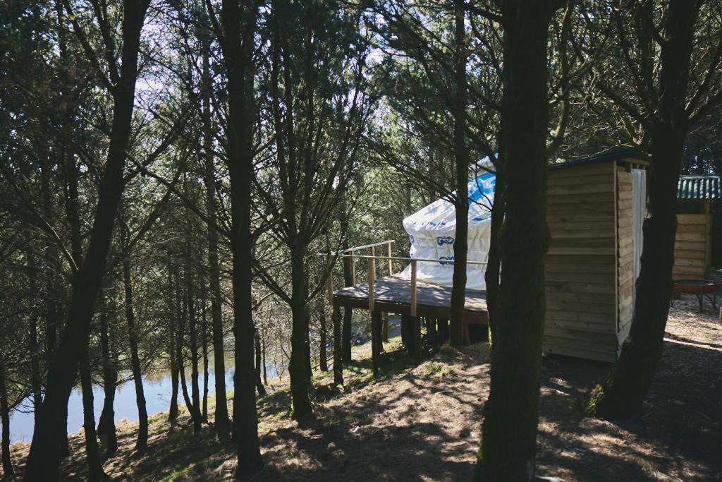 Raven Yurt - Yurtopia