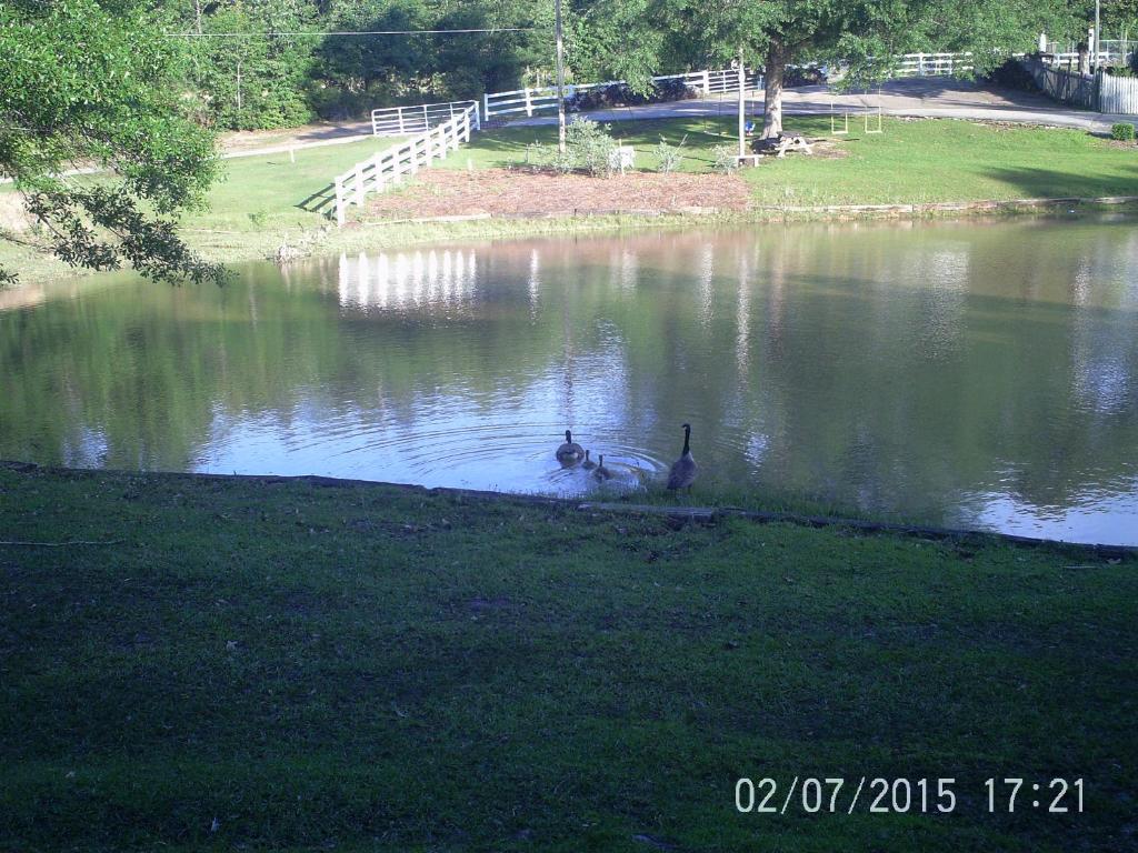 Oak Grove Apartment Hattiesburg (Hattiesburg)