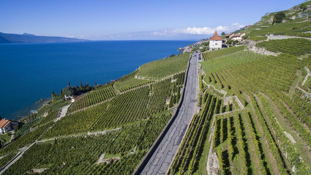 Domaine du Burignon (Saint-Saphorin)