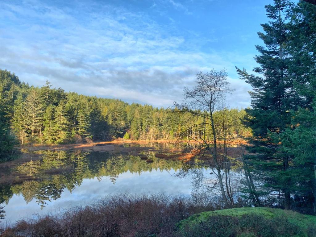 Otter's Pond Bed and Breakfast (Eastsound)