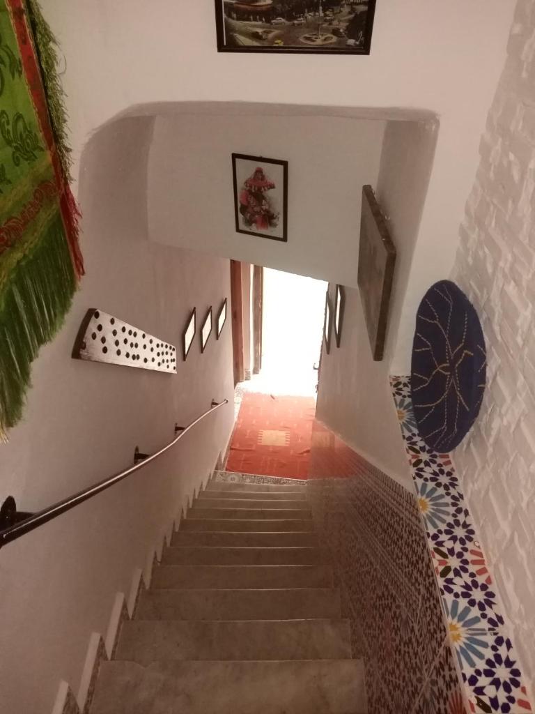 Dar Torres