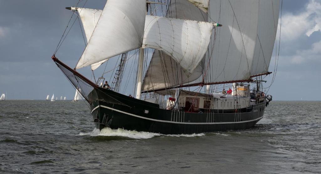 B&B Sailing Ship Summertime